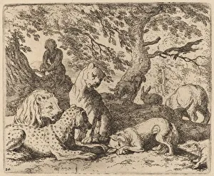 Reynard Winds His Tale and Wrongs His Father, probably c. 1645 / 1656