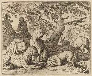 Wolf Gallery: Reynard Winds His Tale and Wrongs His Father, probably c. 1645 / 1656