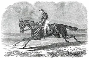 Epsom Oaks Prints: Rhedycina, Winner of the Oaks Stakes, at Epsom, 1850. Creator: Unknown