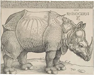 Rhinoceros Prints: The Rhinoceros