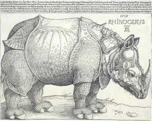 Rhino Prints: The Rhinoceros, 1515. 1515. Creator: Albrecht Durer