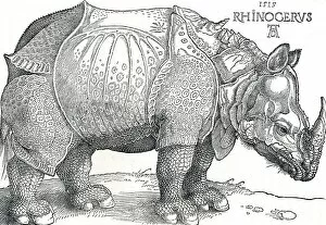 Cust Gallery: A Rhinoceros, 1515, (1906). Artist: Albrecht Durer