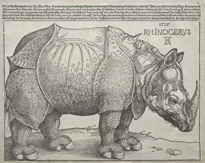 1471 1528 Prints: The Rhinoceros, 1515. Creator: Albrecht Dürer (German, 1471-1528)