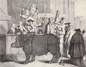 Pulcinella Gallery: The Rhinoceros, Clara, in the foreground, her keeper holding her horn and a whip