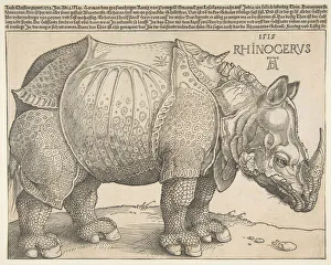 Durer Prints: The Rhinoceros. n. d. Creator: Albrecht Durer