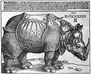 Images Dated 12th October 2007: Rhinoceros, print given to Maximilian I by the King of Lisbon, 1515, (1936). Artist: Albrecht Durer