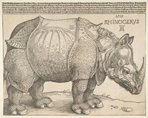 The Metropolitan Gallery: The Rhinoceros.n.d. Creator: Albrecht Durer
