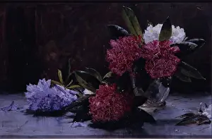 Reid George Prints: Rhododendrons, 1875-1899. Creator: George Reid