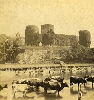 Rhuddlan - Castle (from the River), c1900. Creator: Unknown
