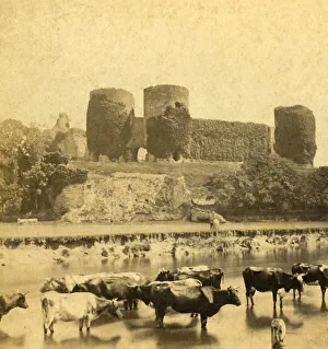 Chess Piece Prints: Rhuddlan - Castle (from the River), c1900. Creator: Unknown