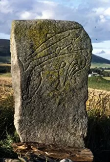 Beast Gallery: Rhynie-Crawstone, Pictish incised Animals, Aberdeenshire, c5th century-c8th century