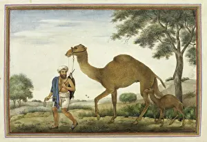 Nomadic Prints: Ribari, a caste of camel-men, 1825. Creator: Anon