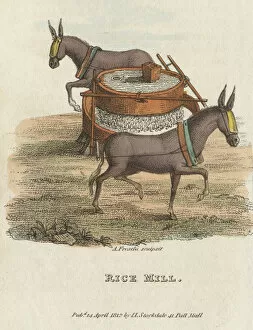 Rice Mill, 1813
