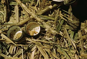 Plantation Collection: Rice and papaya in the lunch of a sugar worker on a plantation... Guanica, Puerto Rico, 1942