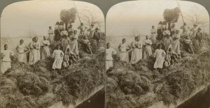 A Rice Raft, South Carolina, captured 1895;printed 1904. Creator: Strohmeyer & Wyman