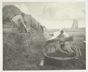 Bundle Gallery: Ricking the Reed, 1886. Creator: Peter Henry Emerson