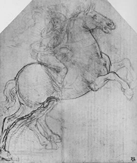 Bareback Rider Gallery: A Rider on a Rearing Horse, c1480 (1945). Artist: Leonardo da Vinci