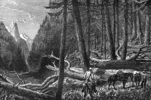 British Columbia Prints: Riding through the forest, British Columbia, Canada, 19th century. Artist: Leitch