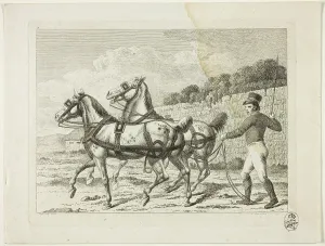 Riding School and Horses, 1806. Creator: Johann Adolph Darnstedt