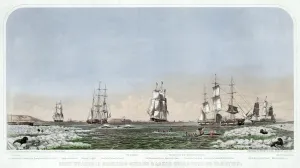 Whale Collection: Right Whaling in Behering Straits & Arctic Ocean with its Varieties, pub. 1871