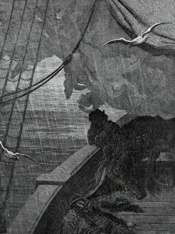 Laridae Prints: The Rime of the Ancient Mariner