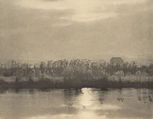 Frosty Prints: Rime Crystals, in or before 1895. Creator: Dr Peter Henry Emerson