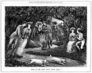 Images Dated 31st January 2006: Rink to me only with thine eyes, 1876. Artist: George Du Maurier
