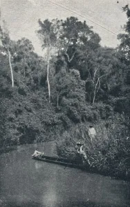Rio de S. Anastacio, 1895. Artist: Francisco Henszler