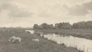 On the River Bure, 1886. Creator: Dr Peter Henry Emerson