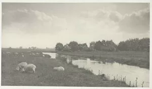 Emerson Peter Henry Gallery: On the River Bure, 1886. Creator: Peter Henry Emerson