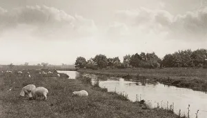 Emerson Dr Peter Henry Prints: On the River Bure, 1886. Creator: Peter Henry Emerson