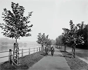 Walkway Prints: River Drive, Fairmount Park, Philadelphia, between 1900 and 1906. Creator: Unknown