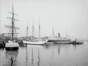 Riverfront Prints: Along the river front, Jacksonville, Fla. c1904. Creator: Unknown