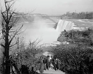 Viewpoint Prints: Down the river from Goat Island