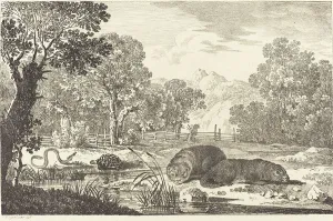 Turtle Prints: River Landscape with Two Beavers, 1807. Creator: Max Josef Wagenbauer