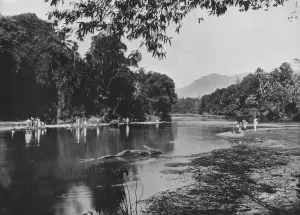Alfred William Amandus Prints: River at Ratnapura, c1890, (1910). Artist: Alfred William Amandus Plate
