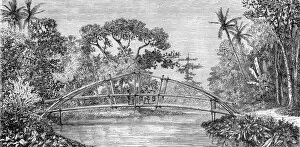 Bamboo Gallery: River Scene, Borneo; A Visit to Borneo, 1875. Creator: A.M. Cameron