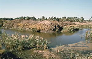 Mesopotamian Prints: River Tigris by the Tower of Babel, Babylon, Iraq
