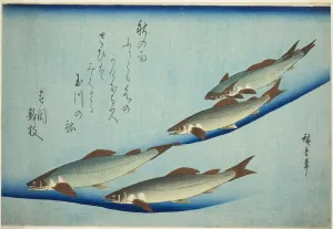 Trout Prints: River trout, c. 1832/44. Creator: Ando Hiroshige