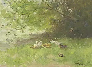 Natural History Prints: Riverbank with resting ducks, 19th century. Creator: Dierkx