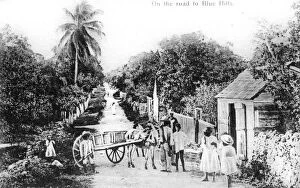 Images Dated 7th March 2008: On the road to Blue Hills, Bahamas, c1900s