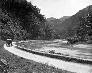 Adolphe Son Prints: Road to Bog Walk, Jamaica, c1905. Artist: Adolphe Duperly & Son