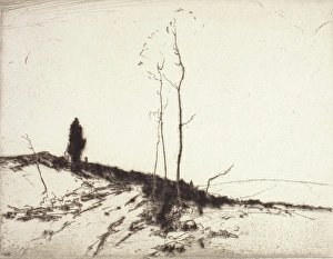 Spacious Prints: Road and Cedar Tree, about 1925. Creator: Chauncey Foster Ryder
