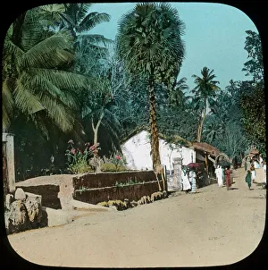 Road from Colombo to Galle, Colombo, Ceylon, late 19th or early 20th century Road from Colombo to Galle, Colombo, Ceylon, late 19th or early 20th century