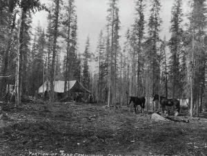 Campsite Prints: Road Commission camp near Copper Center, between c1900 and 1923. Creator: Unknown