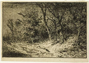 Drypoint Collection: Road at the Edge of a Wood, 1846. Creator: Charles Emile Jacque