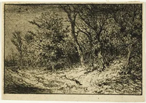 Jacque Charles Emile Prints: Road at the Edge of a Wood, 1846. Creator: Charles Emile Jacque