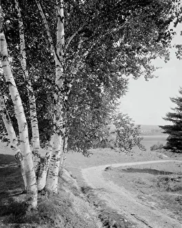 Down the road and far away, c.between 1910 and 1920. Creator: Unknown