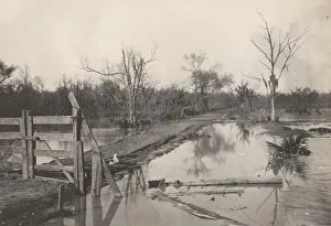 Whitney Prints: Road Through Flooded Land, 1890s-1900s. Creator: Morgan Whitney