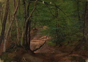 Tidemand Adolph Prints: Road in the Forest, 1838. Creator: Adolph Tidemand